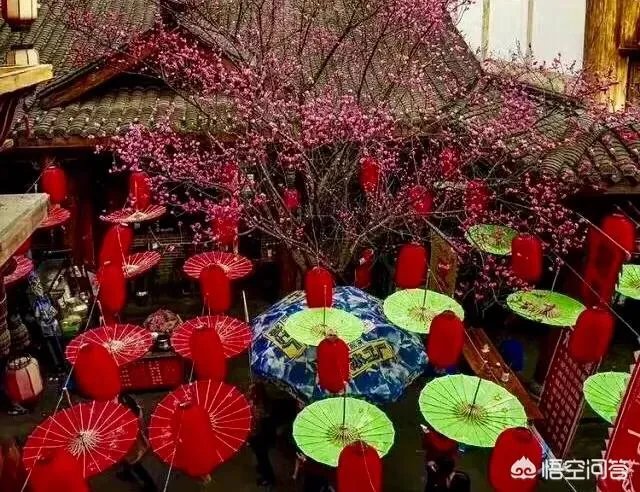 乐山有哪些本地人常去的休闲娱乐景点?