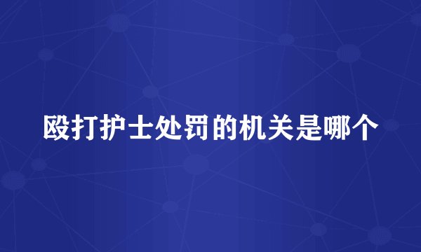 殴打护士处罚的机关是哪个