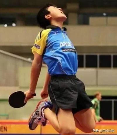 樊振东评价张本智和,称其“非常向上,永远打不服”,是怎么回事?如何评价?