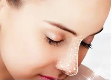 鼻部美学标准详解