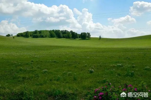 中国哪个草原最漂亮？最值得一去？