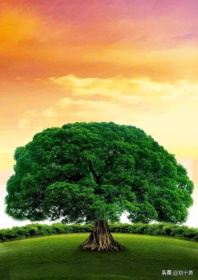 《西游记》中的“灵台方寸山，斜月三星洞”有何象征意义，学艺＝炼心吗？