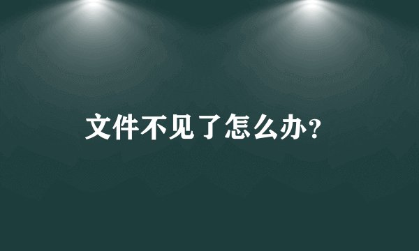 文件不见了怎么办？