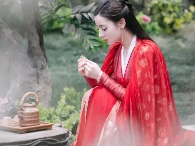 阿兰若和凤九什么关系