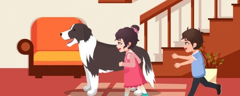 狗狗身上调节体温的汗腺分布在哪里 狗汗腺发达吗