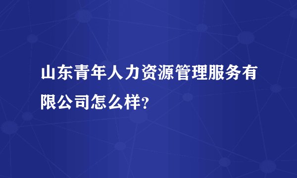 山东青年人力资源管理服务有限公司怎么样？