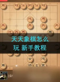 天天象棋怎么玩 新手教程