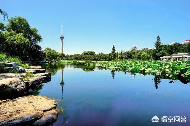 北京有哪些地方适合春游?