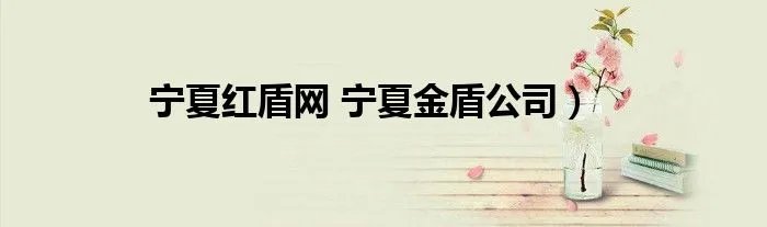 宁夏红盾网 宁夏金盾公司）