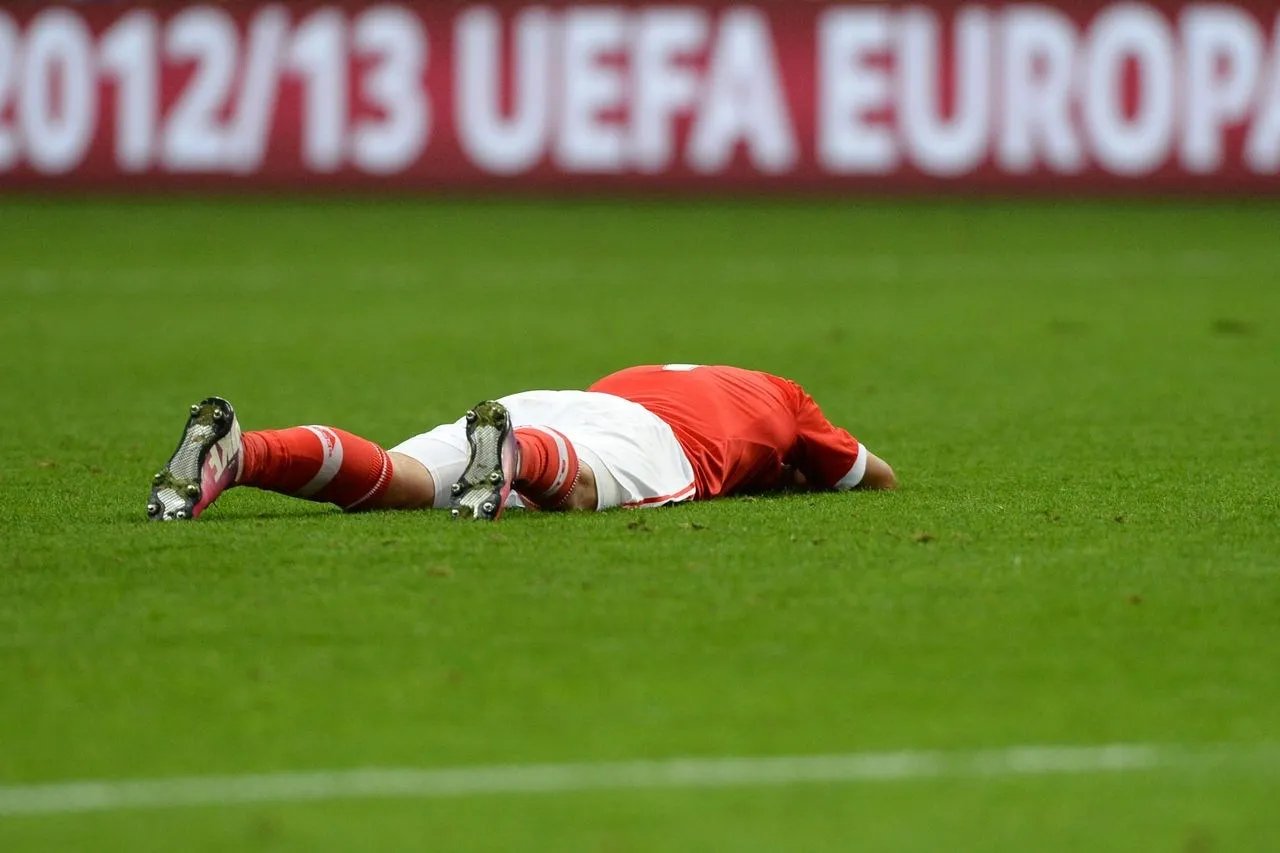 三亚王的狭义三亚王