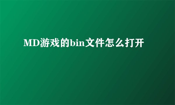MD游戏的bin文件怎么打开