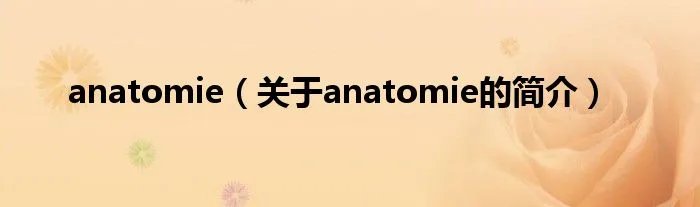 anatomie（关于anatomie的简介）