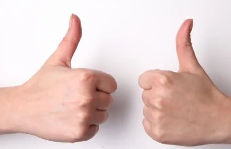 goo的意思中文翻译