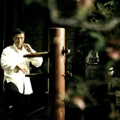 甄子丹叶问剧照曝光 网友：明明是小鲜肉却做打星自讨苦吃啊