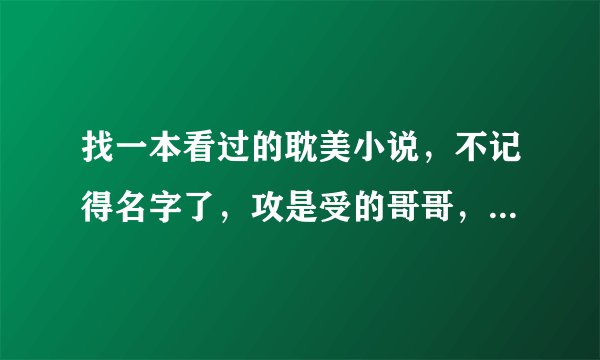 找一本看过的耽美小说，不记得名字了，攻是受的哥哥，是个军人，不苟言笑的那种，对弟弟有很强的责任感，