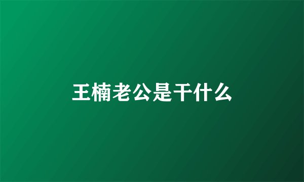 王楠老公是干什么