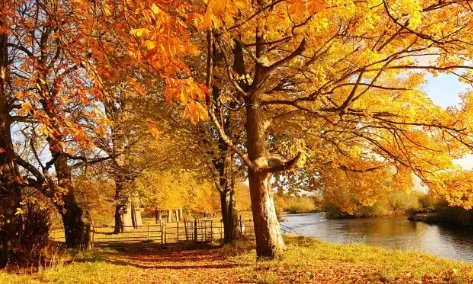 今年5月开业吉日查询，今年5月份开业黄道吉日查询