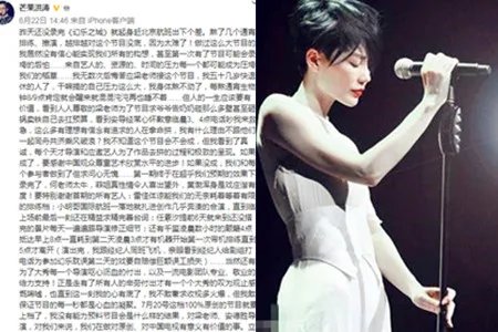 导演洪涛赞王菲真性情 幻乐之城未播先火