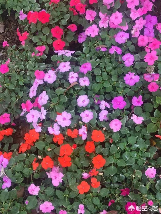 你爸妈是如何骗你起床的？