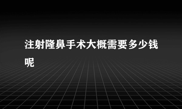 注射隆鼻手术大概需要多少钱呢