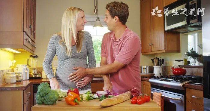 吉娃娃吃什么狗粮好 十大狗粮排行榜