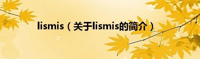 lismis（关于lismis的简介）