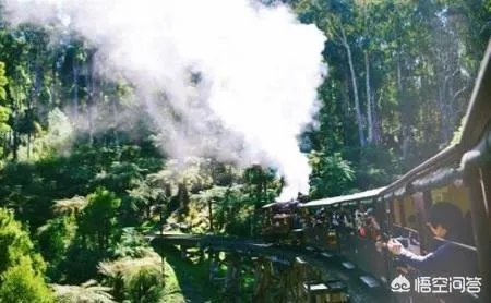 你有哪些去墨尔本的旅游攻略分享？你有哪些自由行攻略？