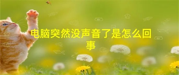电脑突然没声音了是怎么回事