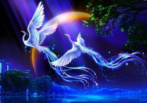 枕上婚宠苏小柠墨沉域 枕上婚宠免费阅读