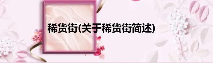 稀货街(关于稀货街简述)