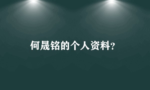 何晟铭的个人资料？