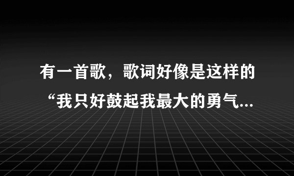 有一首歌，歌词好像是这样的“我只好鼓起我最大的勇气，把你写进歌词了，然后流传出去”，哪位大神知道？