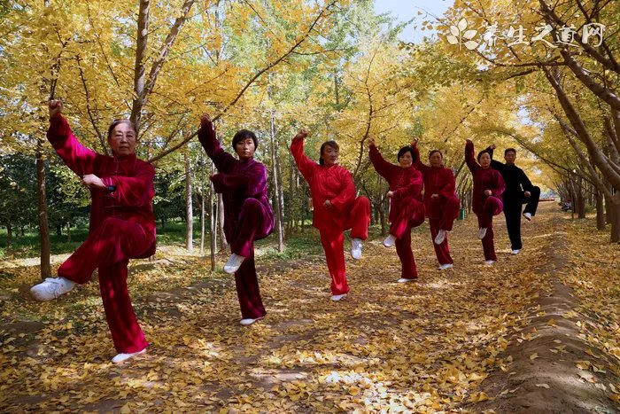 生活实践常识试题