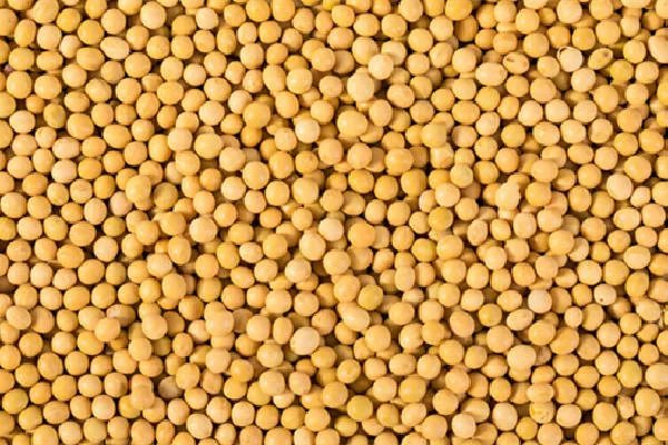 黄豆的功效及食用方法