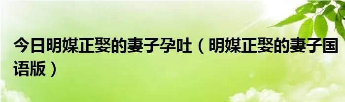今日明媒正娶的妻子孕吐（明媒正娶的妻子国语版）