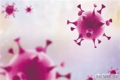 如何看待巴基斯坦总统说:帮中国时没想留后路？