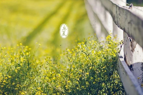 二十四节气图一套 美得令人窒息的二十四节气图