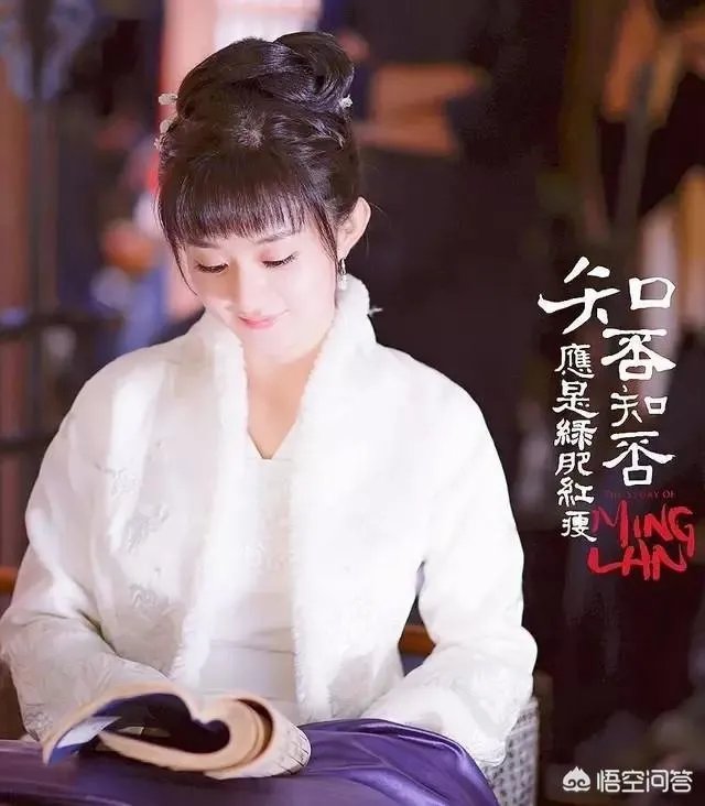 如何评价《知否知否，应是绿肥红瘦》这部剧？