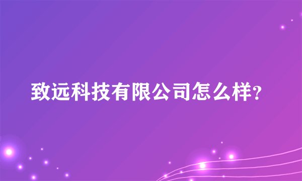致远科技有限公司怎么样？