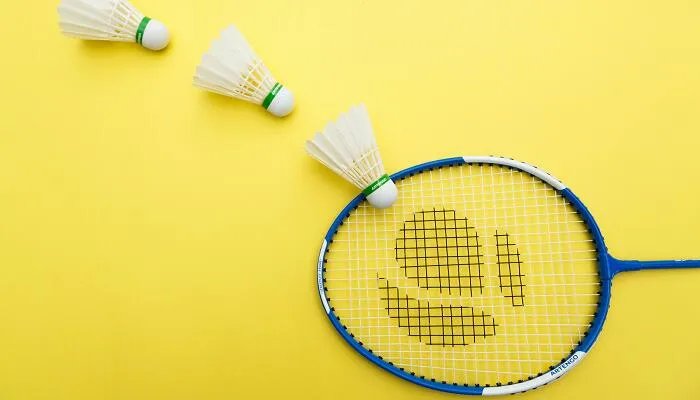 羽毛球上有多少根羽毛