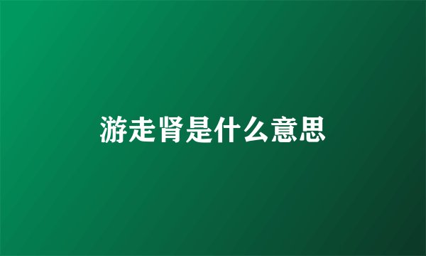 游走肾是什么意思
