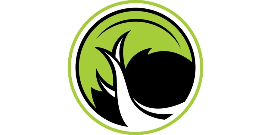 《英雄联盟》2020LGC战队介绍