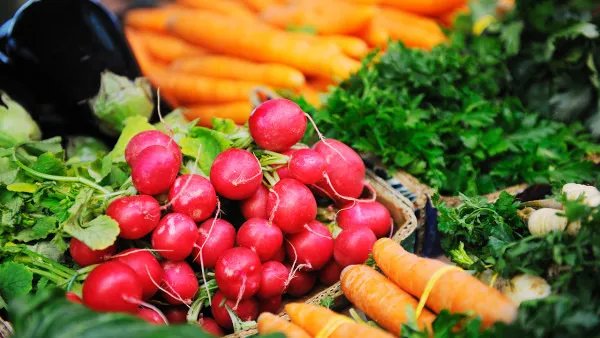 脂肪肝吃什么好