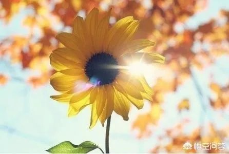 怎样才能不抑郁