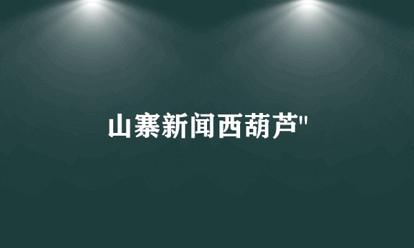山寨新闻西葫芦