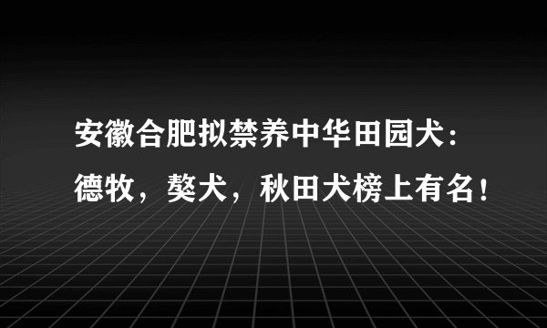 安徽合肥拟禁养中华田园犬：德牧，獒犬，秋田犬榜上有名！