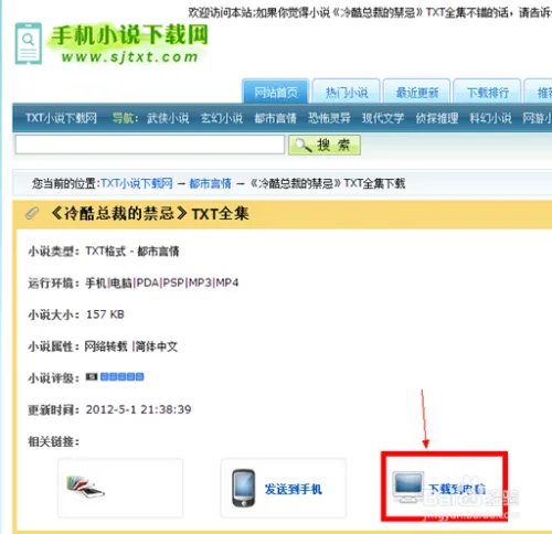 冷酷总裁的禁忌 txt全文下载
