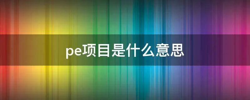 pe项目是什么意思