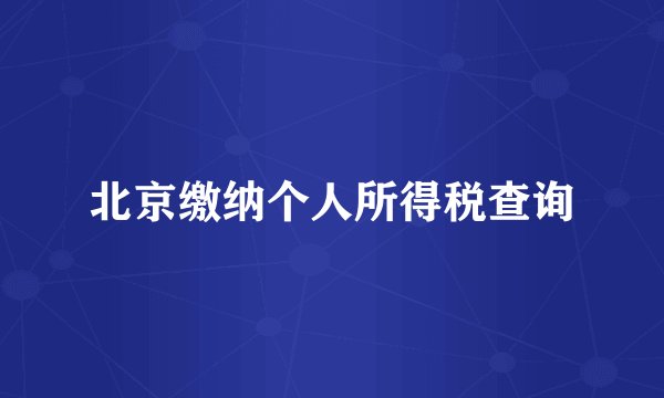 北京缴纳个人所得税查询