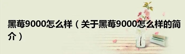 黑莓9000怎么样（关于黑莓9000怎么样的简介）
